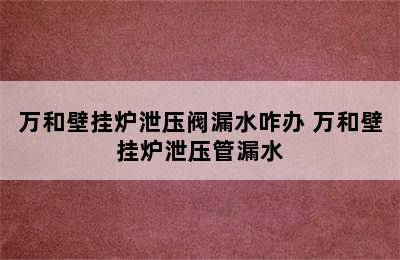 万和壁挂炉泄压阀漏水咋办 万和壁挂炉泄压管漏水